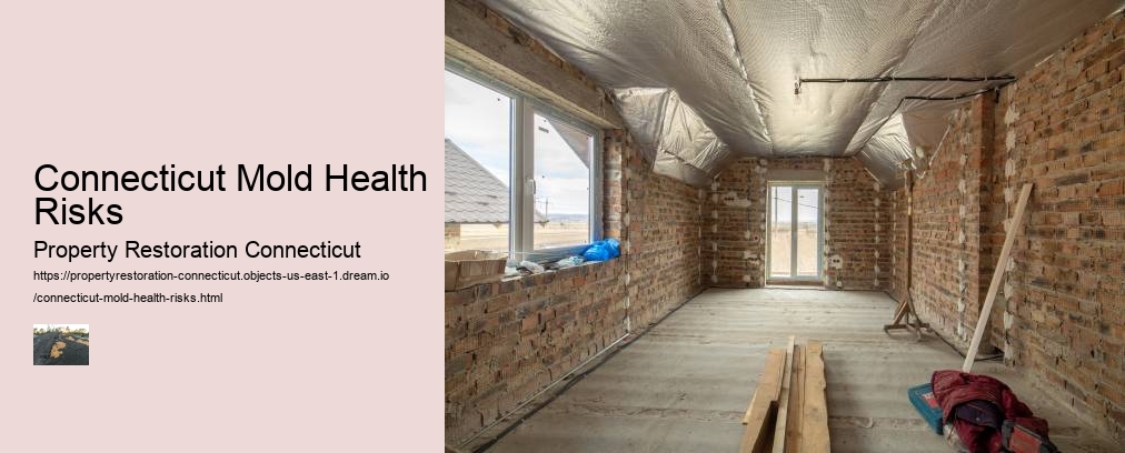 Connecticut Mold Health Risks