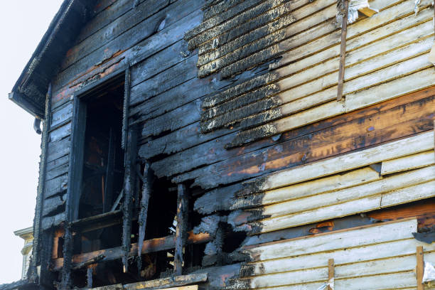 How to Safely Remove Mold in Connecticut Homes: Expert Remediation Tips 