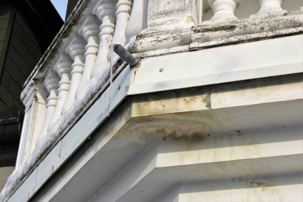 Explore the Top Methods for Restoring Properties After Mold Damage in Connecticut 