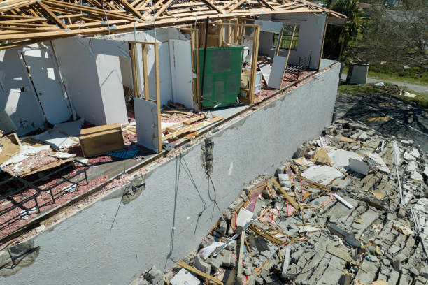 The importance of professional mold remediation services in Connecticut